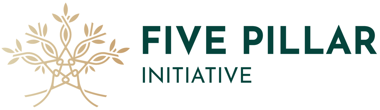 Five Pillar Initiative